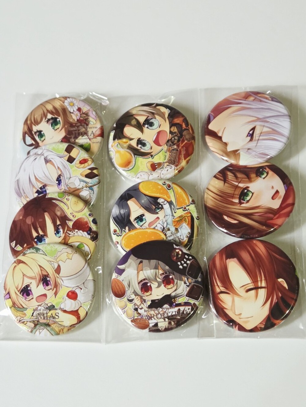 Beast and Princess / Moujuu-tachi to Ohime-sama Can Badge Pin 10pc Set